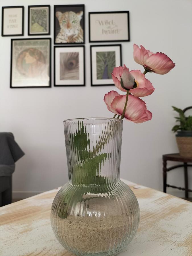 Apartamento Gades Conil C 콘일데라프론테라 외부 사진